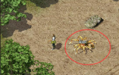 探寻新藏宝阁两种方法取得技术书外